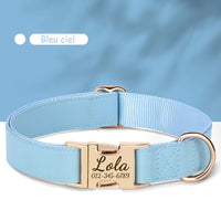 Collier-personnalisable-pour-chien-bleu