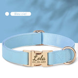 Collier-personnalisable-pour-chien-bleu