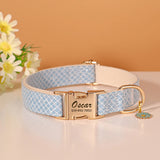 Collier-personnalisable-pour-chien-bleu