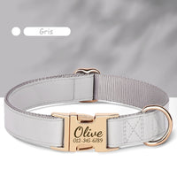Collier-personnalisable-pour-chien-gris