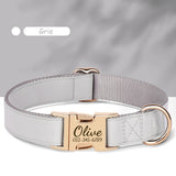 Collier-personnalisable-pour-chien-gris