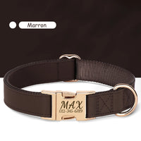 Collier-personnalisable-pour-chien-marron