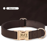 Collier-personnalisable-pour-chien-marron