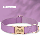 Collier-personnalisable-pour-chien-pourpre