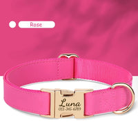 Collier-personnalisable-pour-chien-rose