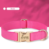 Collier-personnalisable-pour-chien-rose