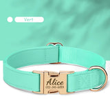 Collier-personnalisable-pour-chien-vert