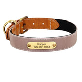 Collier-personnalise-chien-beige