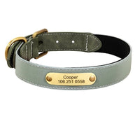 Collier-personnalise-chien-vert