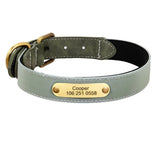 Collier-personnalise-chien-vert