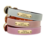 Collier-personnalise-chien