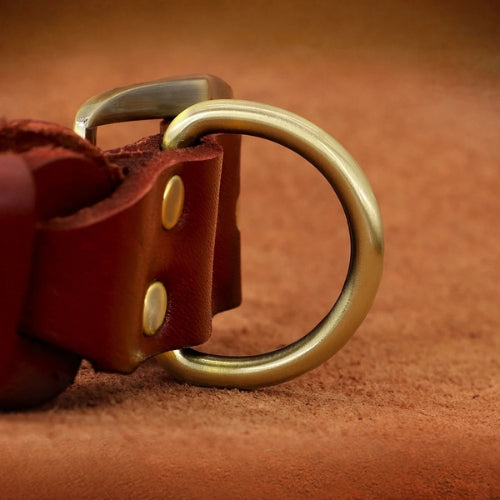 Collier-pour-chien-en-cuir-anneau-en-D