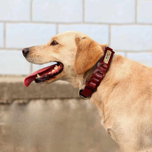 Collier-pour-chien-en-cuir-chic