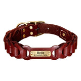 Collier pour chien en cuir