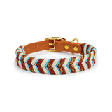 Collier pour chien marron