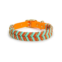 Collier pour chien orange