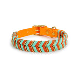 Collier pour chien orange