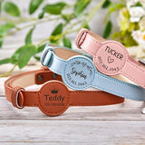 Collier-pour-chien-personnalisable-bleu
