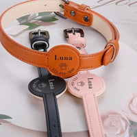 Collier-pour-chien-personnalisable-marron