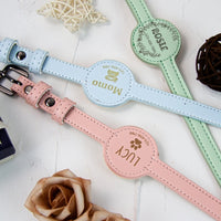 Collier-pour-chien-personnalisable-vert