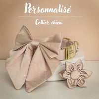 Collier-pour-chien-personnalisé-beige