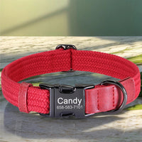 Collier-chien-personnalisé-rouge