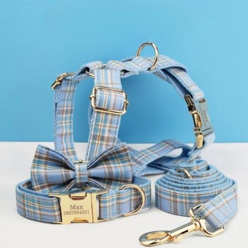 Collier-pour-chien-personnalise