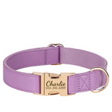 Collier-pour-chien-pourpre