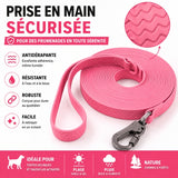Longe pour chien PVC