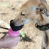 Gourde pour chiens