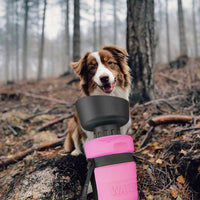 Gourde pour chiens