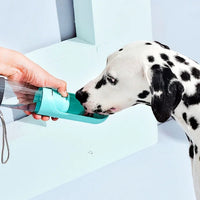 Gourde chien avec filtre