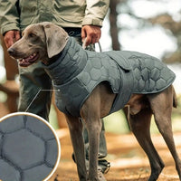 Manteau pour grand chien design matelassé