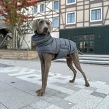 Manteau pour grand chien gris