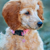 Médaille chien gravée