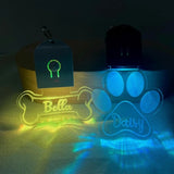 Médaille chien personnalisé LED