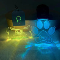 Médaille chien personnalisé lumineuse