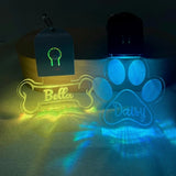 Médaille chien personnalisé lumineuse