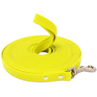 Longe chien 15m