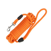 Longe chien 10 m