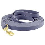 Longe chien 5m