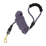 Longe chien 10 m