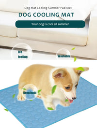 Tapis Rafraîchissant pour Chien