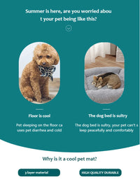 Tapis Rafraîchissant pour Chien