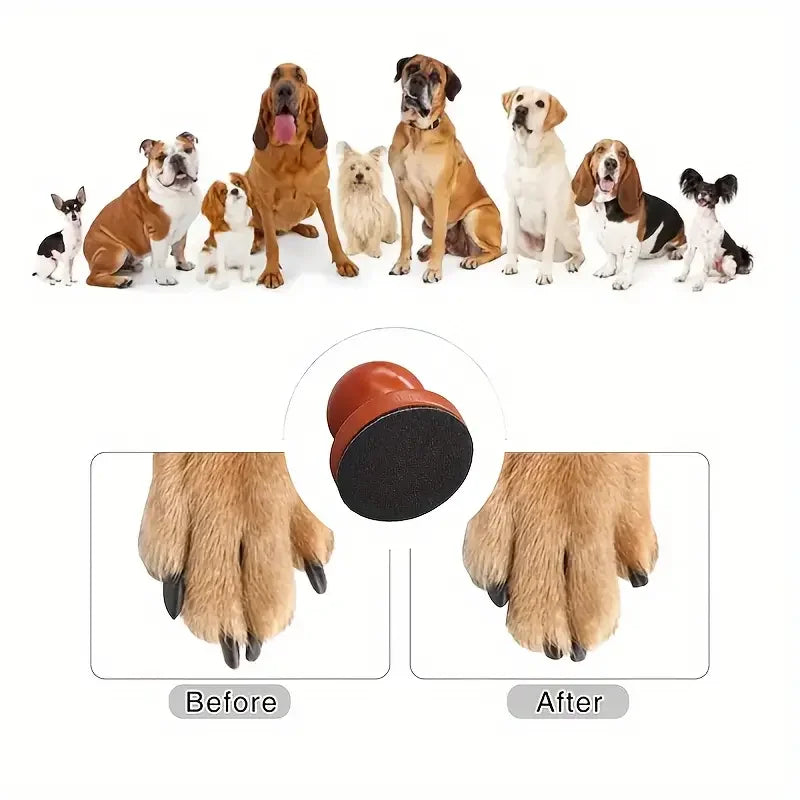 Lime à Ongles Chien en Bois avec Planche de Grattage