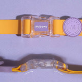 collier chien anti-odeurs imperméable