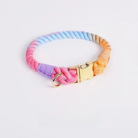 Collier chien corde multicolore rose bleu orange  