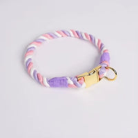 Collier chien corde violet et blanc avec boucle dorée 