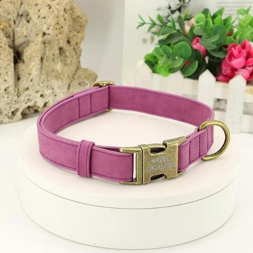 collier-chien-grave-pourpre