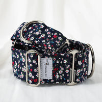 collier chien martingale fleurs fond marine